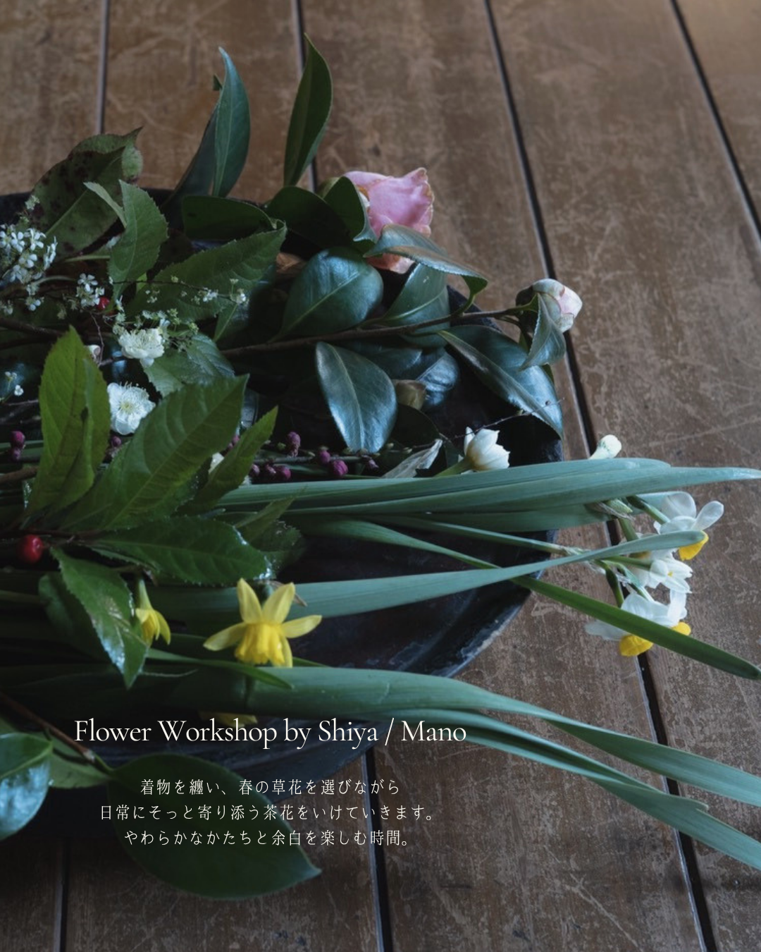 Wa days. vol.3 Spring